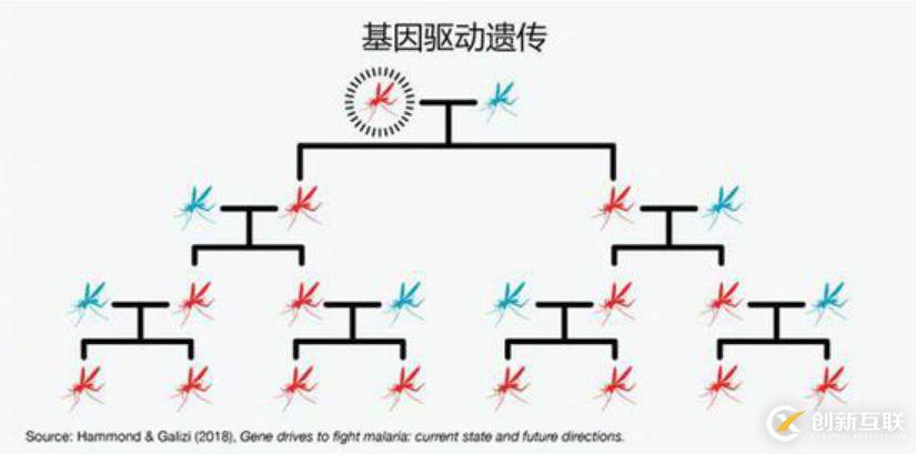 AI+基因編輯，為何成為比爾·蓋茨口中的救命良方？