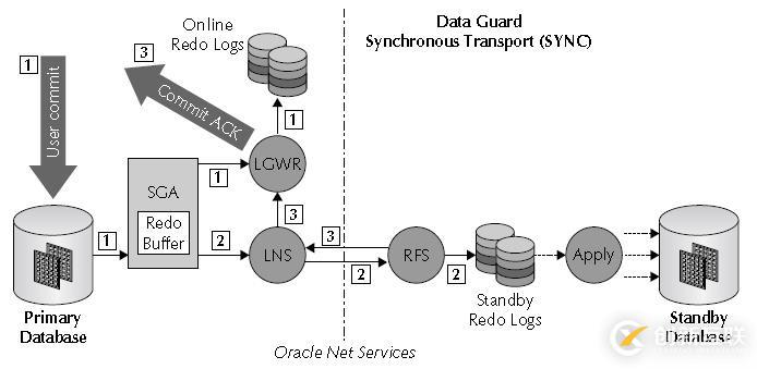 Oracle學習之DATAGUARD(一) DG架構
