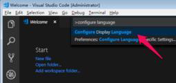vscode中怎么設置中文語言環(huán)境