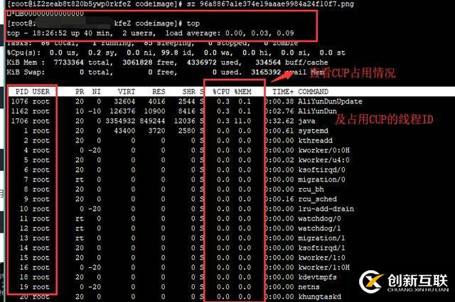 Java進(jìn)程cpu占用過高怎么辦