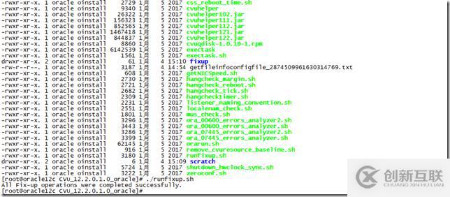 oracle 12c 安裝 手冊