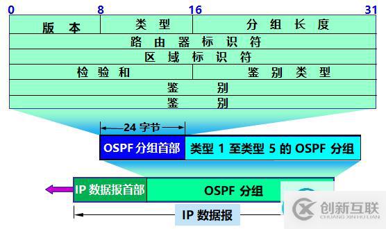 OSPF報(bào)文結(jié)構(gòu)