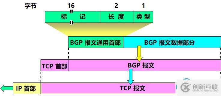 BGP報(bào)文格式