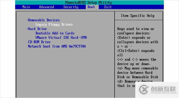 Vmware虛擬機啟動按F2無法進(jìn)入BIOS畫面怎么辦