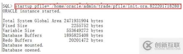 Oracle實(shí)例啟動(dòng)時(shí)報(bào)ORA-32004錯(cuò)誤怎么辦