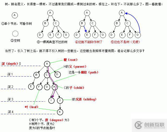 二叉樹(shù)?？济嬖囶}