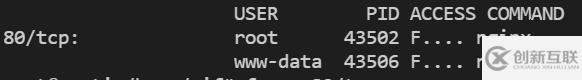 linux如何查看80端口被哪個進程占用
