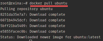 Docker在Ubuntu 15.04上的安裝方法和基本用法