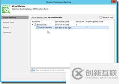 VEEAM9.5 Oracle 11g Windows 備份還原手冊