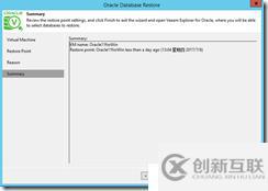 VEEAM9.5 Oracle 11g Windows 備份還原手冊