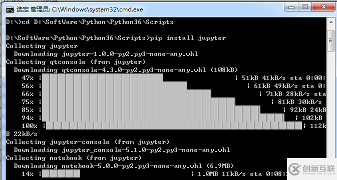 下載jupyter notebook的方法