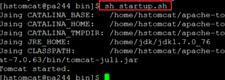 在linux系統(tǒng)中啟動tomcat的方法