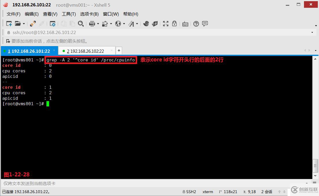 【我的Linux，我做主！】通配符和正則表達(dá)式深層解析