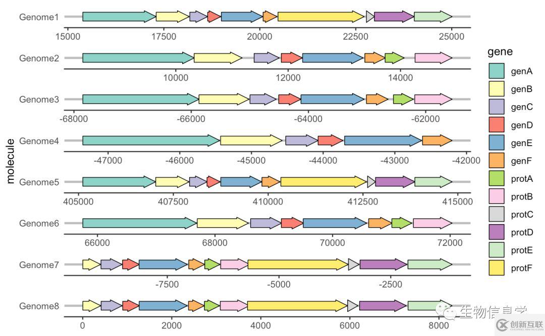 如何用gggenes畫(huà)基因結(jié)構(gòu)圖