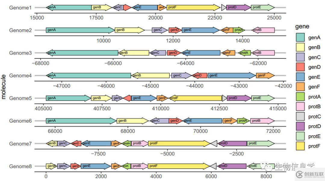 如何用gggenes畫(huà)基因結(jié)構(gòu)圖