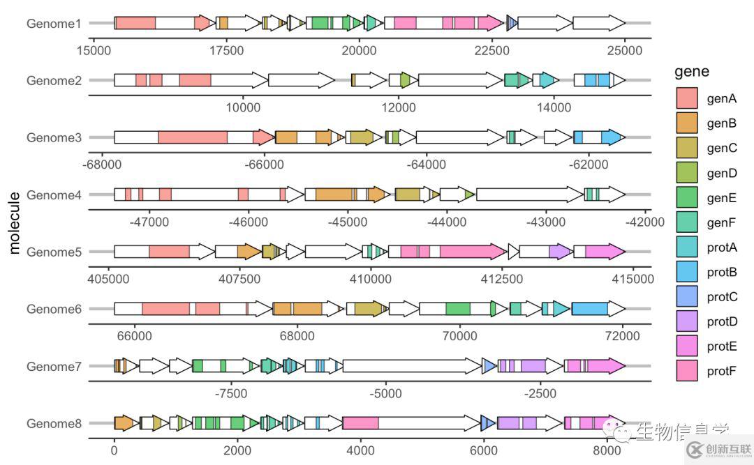 如何用gggenes畫(huà)基因結(jié)構(gòu)圖