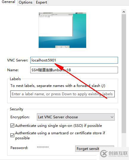 虛擬化云計(jì)算-使用vnc view連接公有云服務(wù)器