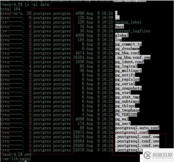 Postgres 11.4 pg_basebackup  P