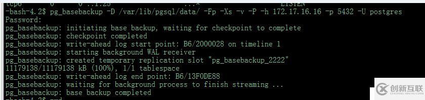 Postgres 11.4 pg_basebackup  P