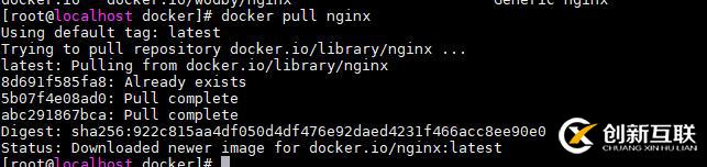 docker安裝nginx