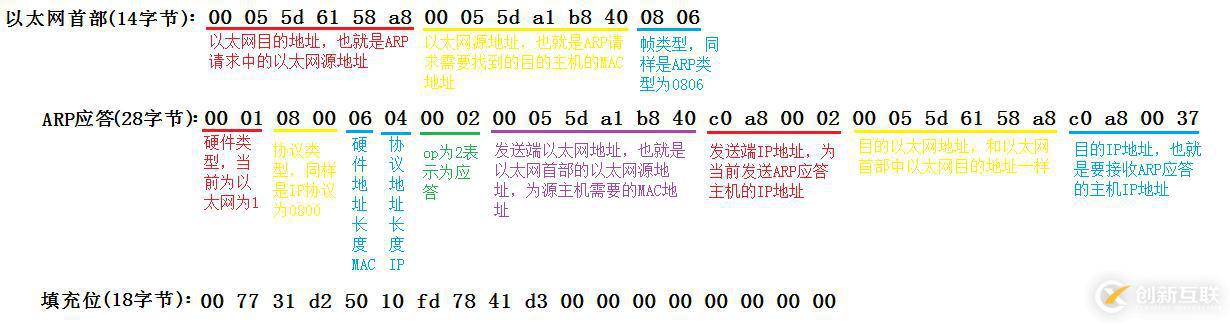 ARP數(shù)據(jù)報(bào)傳送格式