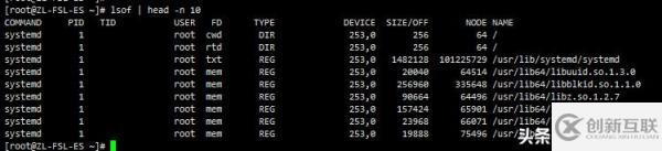 如何理解Linux系統(tǒng)中的lsmod、lsof、lspci、lsscsi命令及如何實踐