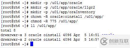 RedHat 6 靜默安裝Oracle 11gR2