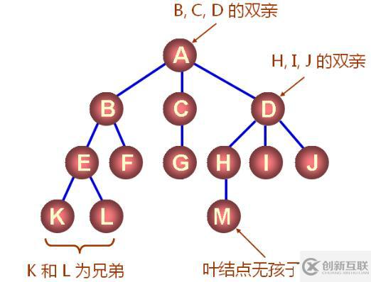 數(shù)據(jù)結(jié)構(gòu)（十三）——樹