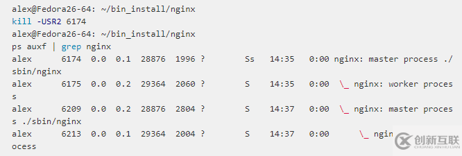 nginx信號集怎么理解