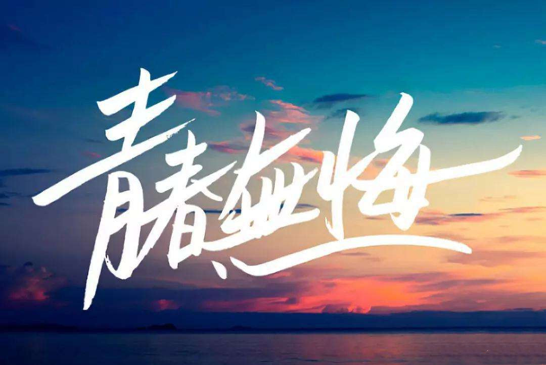 公司網(wǎng)站開發(fā)案例