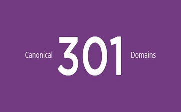 canonical、301、Domains