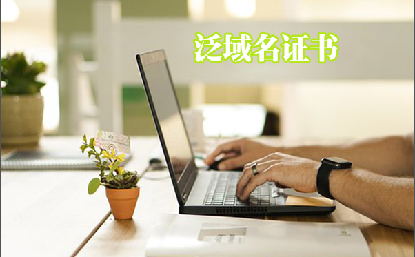 泛域名證書怎么樣，二級(jí)域名證書是什么