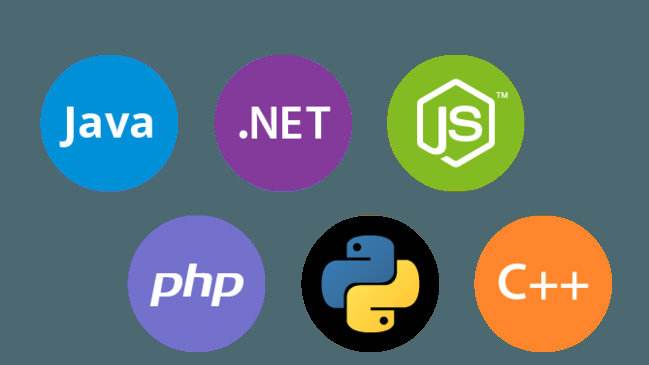 網(wǎng)站程序開發(fā)語言