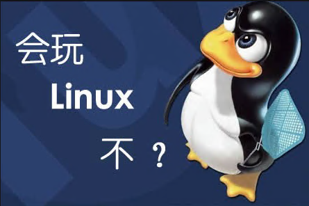 服務(wù)器系統(tǒng)哪個(gè)好之Linux系統(tǒng)