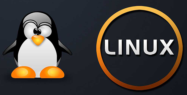 linux怎么ping，LinuxPing的步驟講解