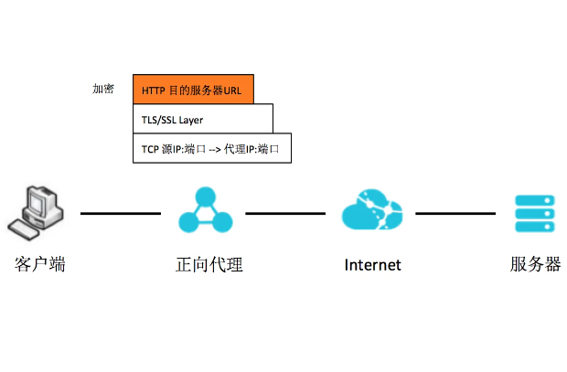 美國(guó)HTTPS代理服務(wù)器的優(yōu)勢(shì)與應(yīng)用