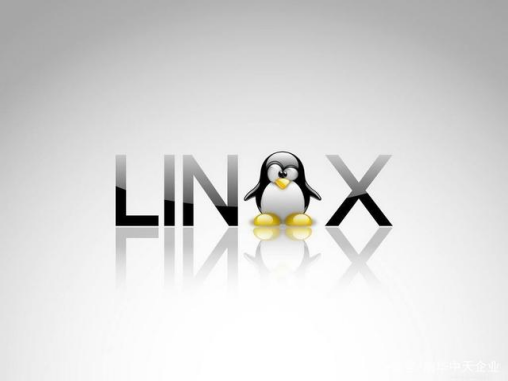 如何在Linux服務器上進行關機操作？