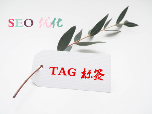 TAG標(biāo)簽的使用對(duì)于SEO優(yōu)化的重要性是什么？