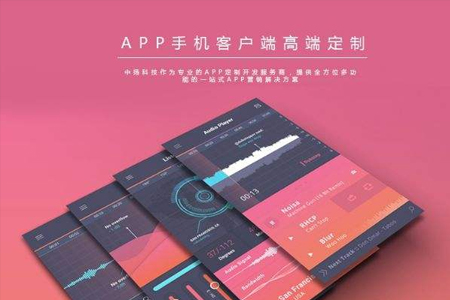 APP開發(fā)